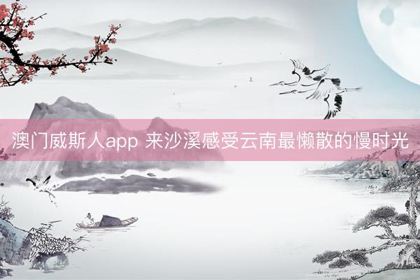 澳门威斯人app 来沙溪感受云南最懒散的慢时光