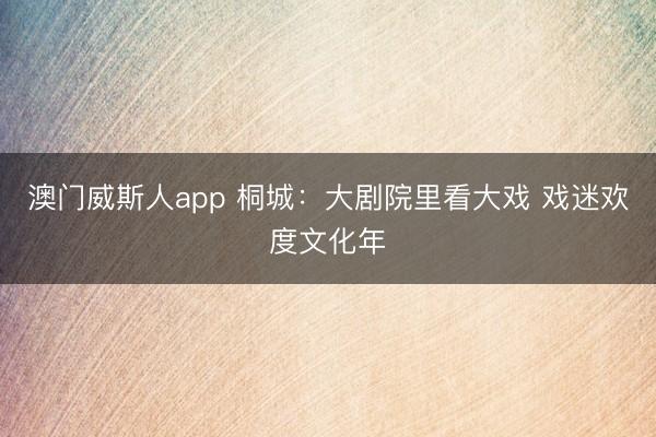 澳门威斯人app 桐城：大剧院里看大戏 戏迷欢度文化年